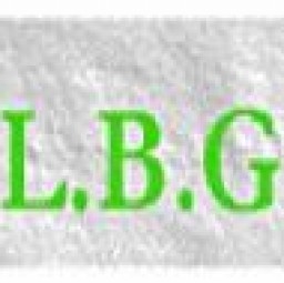 Logo L.B.G.PEINTURE Levallois Perret