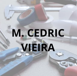 electricien M. Cedric Vieira Vigneux Sur Seine