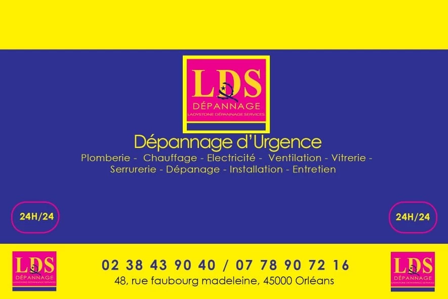 logo electricien LADYSTONE DEPANNAGE SERVICES  ( L D S ) Orléans
