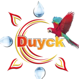 Logo ENT SYLVAIN DUYCK Rueil Malmaison
