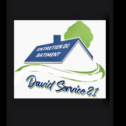 logo entreprise de batiment DAVID SERVICE 81 Albi